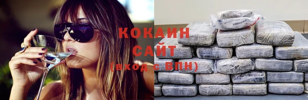 PSILOCYBIN Майский