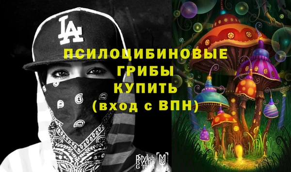 СК Магас