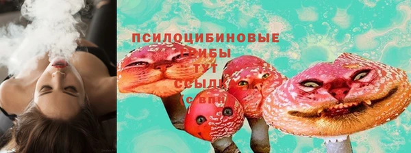 PSILOCYBIN Майский