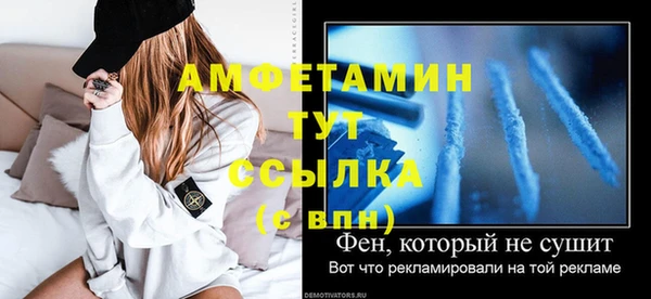 PSILOCYBIN Майский